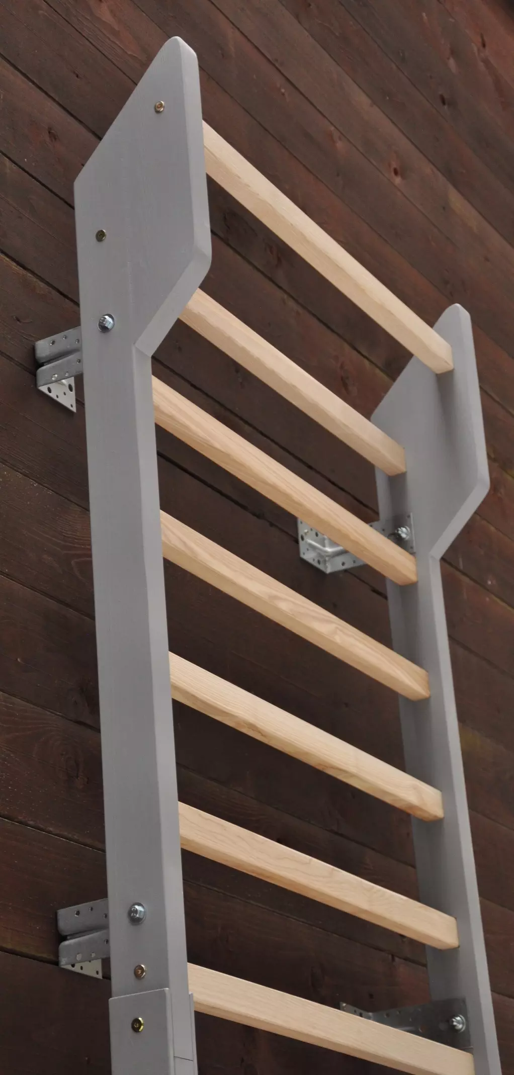 Vue latérale de la partie supérieure incurvée de l'espalier, idéale pour la suspension profonde et la remise en forme adaptée au surpoids.